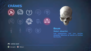 HCEA Skull selection.png