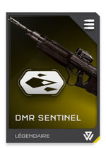 H5G REQ card DMR Sentinel-verrou cinétique.jpg