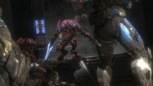 CF-Reach DevotedSentries-1.jpg