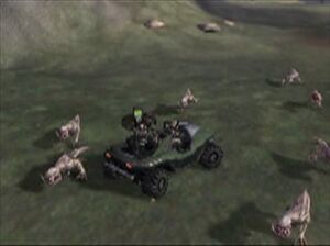 HCE Blind Wolf (E3 2000).jpg