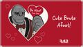343I Valentine's Day cards 2022 Craig.jpg