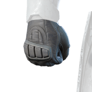 HINF S2 Ank glove.png
