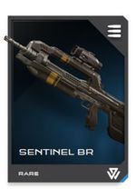 H5G REQ card Sentinel BR.jpg
