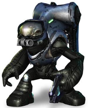 Grades covenants/Halo 4 — WikiHalo