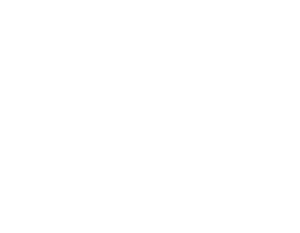 HINF S5 Kaleidoscope backdrop.png