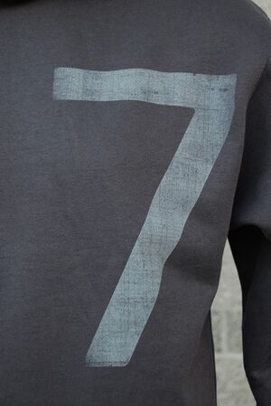 BWU Seven gray shirt.jpg